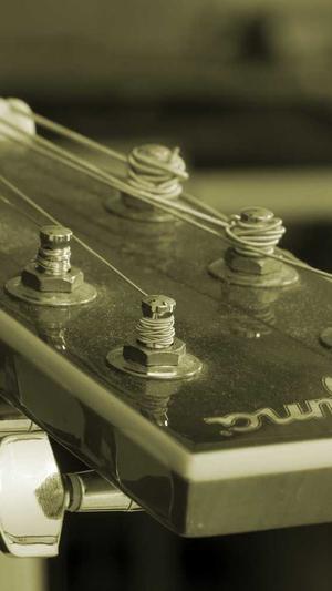 菅田将晖黑料截图4